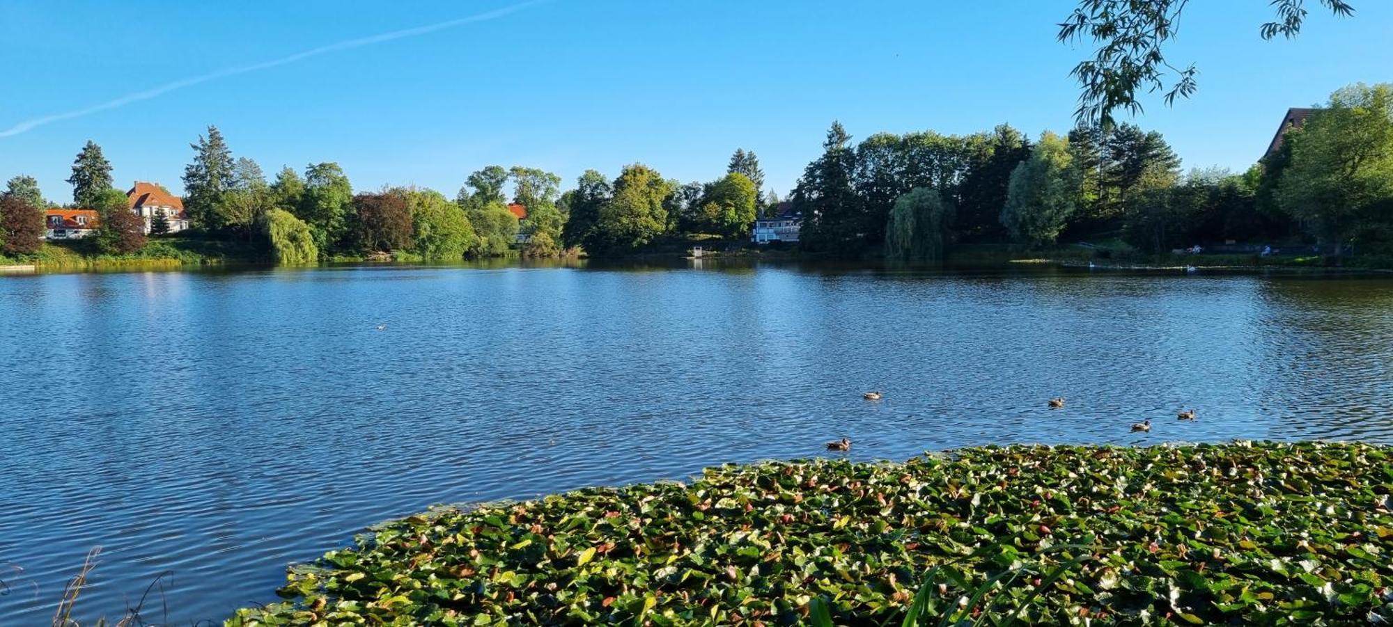 Fewo Zur Alten Tischlerei Herzberg am Harz Esterno foto